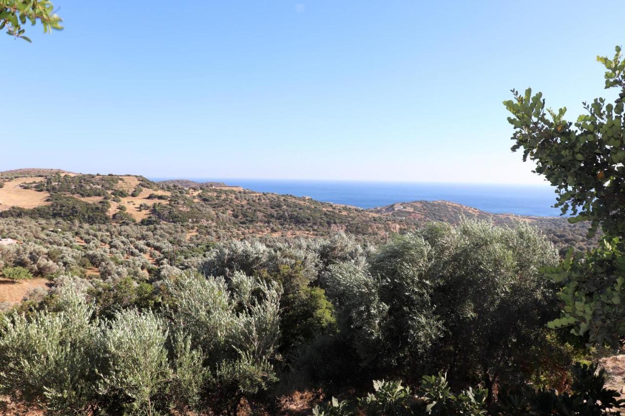 Villa Amathianis à Triopetra Extérieur photo